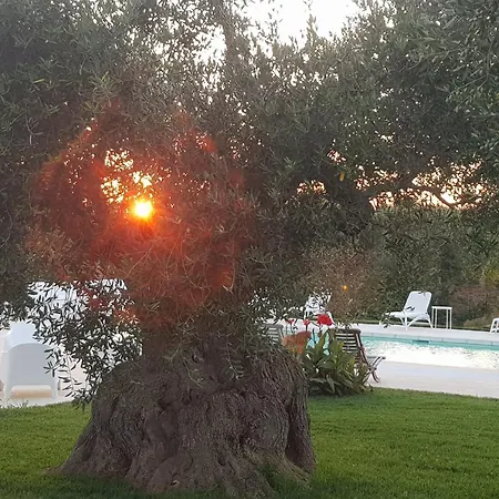 Ad&dimore L'antico Trullo Holiday home Polignano a Mare
