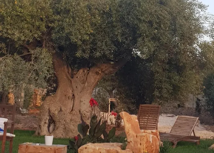 Ad&dimore L'antico Trullo Vakantiehuis Polignano a Mare