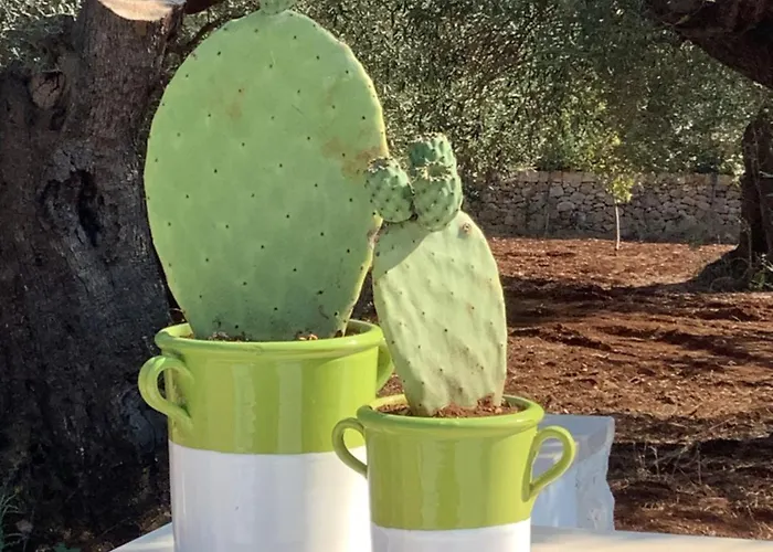 Ad&dimore L'antico Trullo * Polignano a Mare