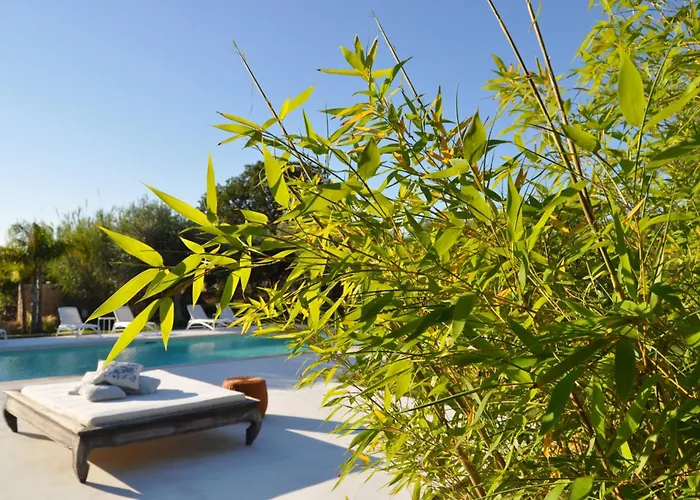 Vakantiehuis Ad&dimore L'antico Trullo *