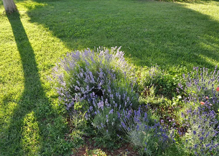 Ad&dimore L'antico Trullo Vakantiehuis *