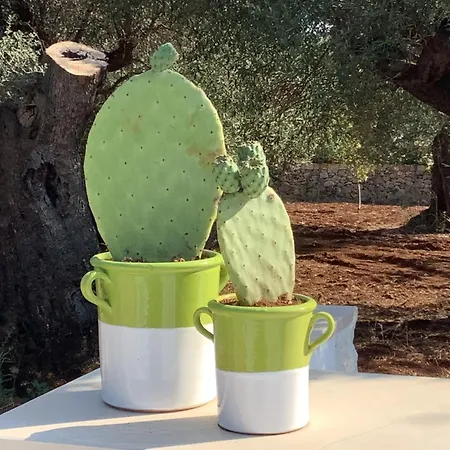 Ad&dimore L'antico Trullo * פולינאנו א מארה