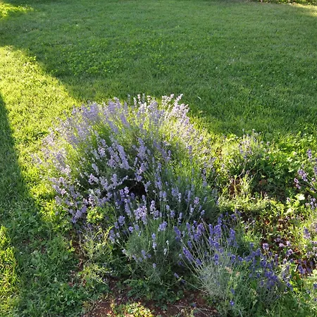 Ad&dimore L'antico Trullo Prázdninový dům *